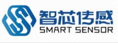 Smart Sensor