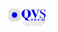 QVS TECH INC