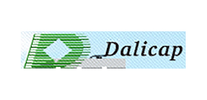 Dalian Dlicap Corporation