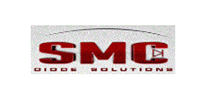 Sangdest Microelectronics (Nanjing) Co Ltd