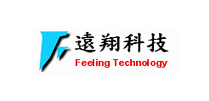 Feeling