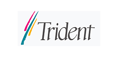 Trident Microsystems Inc