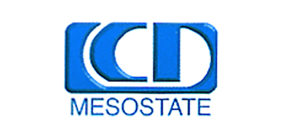 Mesostate