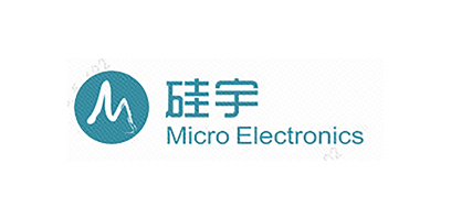 MicroElectronics