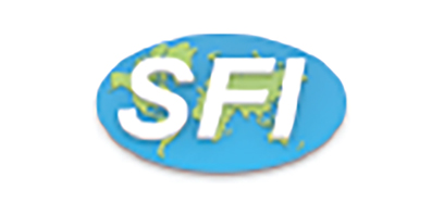 SFI Electronics Technology