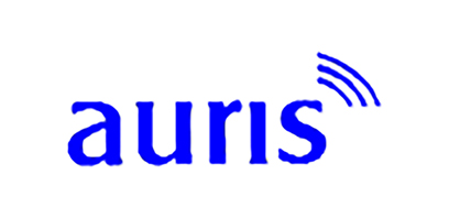 auris GmbH