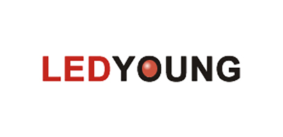 Ledyoung Technology Corporation