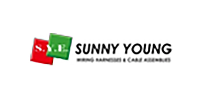 Sunny Young Enterprise Co Ltd