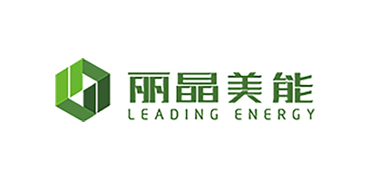 LEADING ENERGY