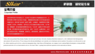 萨科微Slkor 国际化之初体验(下)